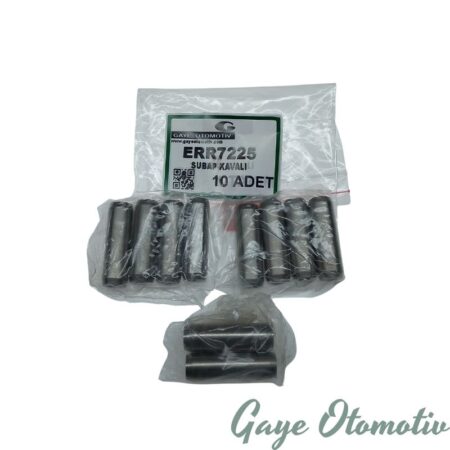 ERR7225 subap kaydı