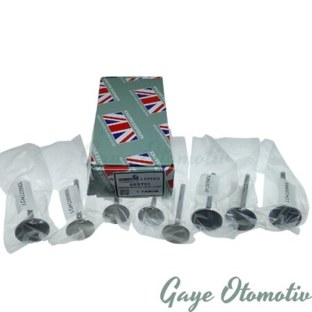 LGH100980L egzoz subap takımı emme