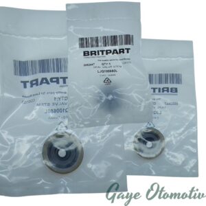 LJQ100680L Subap Lastiği Takımı