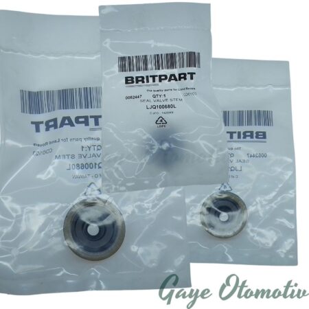 LJQ100680L Subap Lastiği Takımı