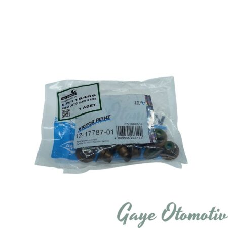 LR116489 subap lastiği takımı