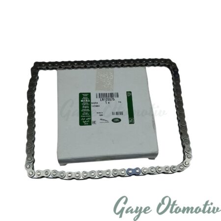 LR125575 eksantrik zinciri alt