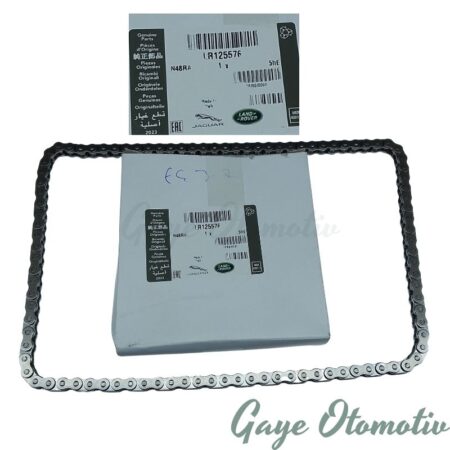 LR125576 eksantrik zinciri üst