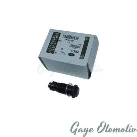 LR125580 Eksantrik Zincir Gergisi Üst