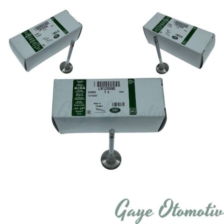 LR125590 egzoz subabı